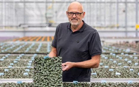 Jan Hulst.jpg